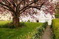 Gabriel House Budget Accomodation Cork outside gardens Gabriel House Budget Accomodation Cork outside gardens