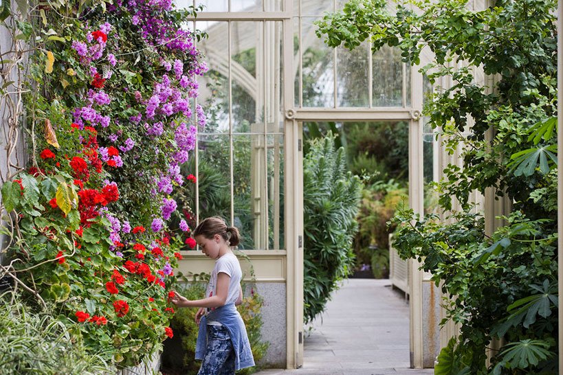 10 Free Things to Do in Ireland - National Botanic Gardens