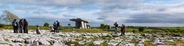 9 Attractions Educating About Irish Nature in the Burren and More 9 Attractions Educating About Irish Nature in the Burren and More