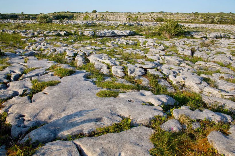 Irish Nature on the Burren Experience Guided Walks
