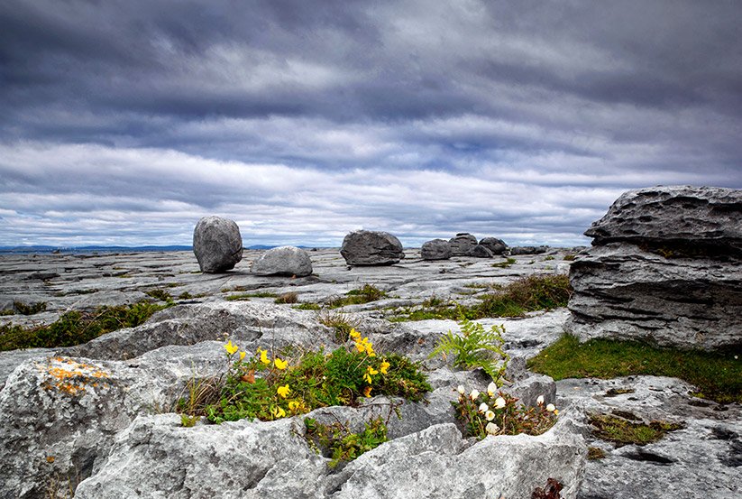 Karst Landscape in the Burren